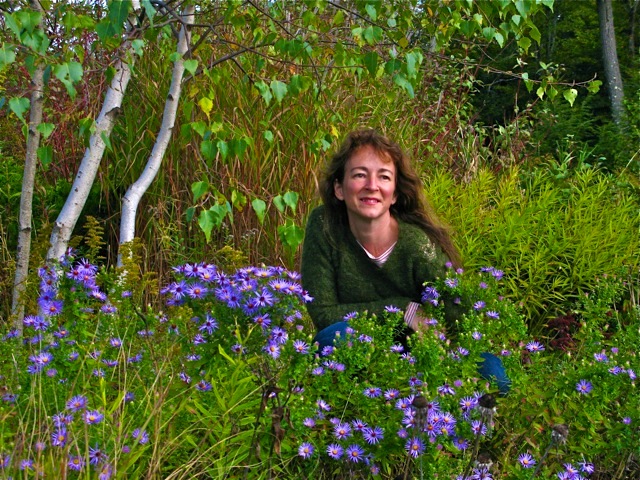 Michaela in the October Asters ⓒ 2011 thegardenerseden.com