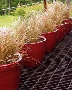 the power of simplicity... deck pots