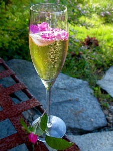 vintage rose cocktail