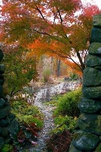 Secret Garden Door in October, (Seiryu) Secret Garden Door in October, (Seiryu)