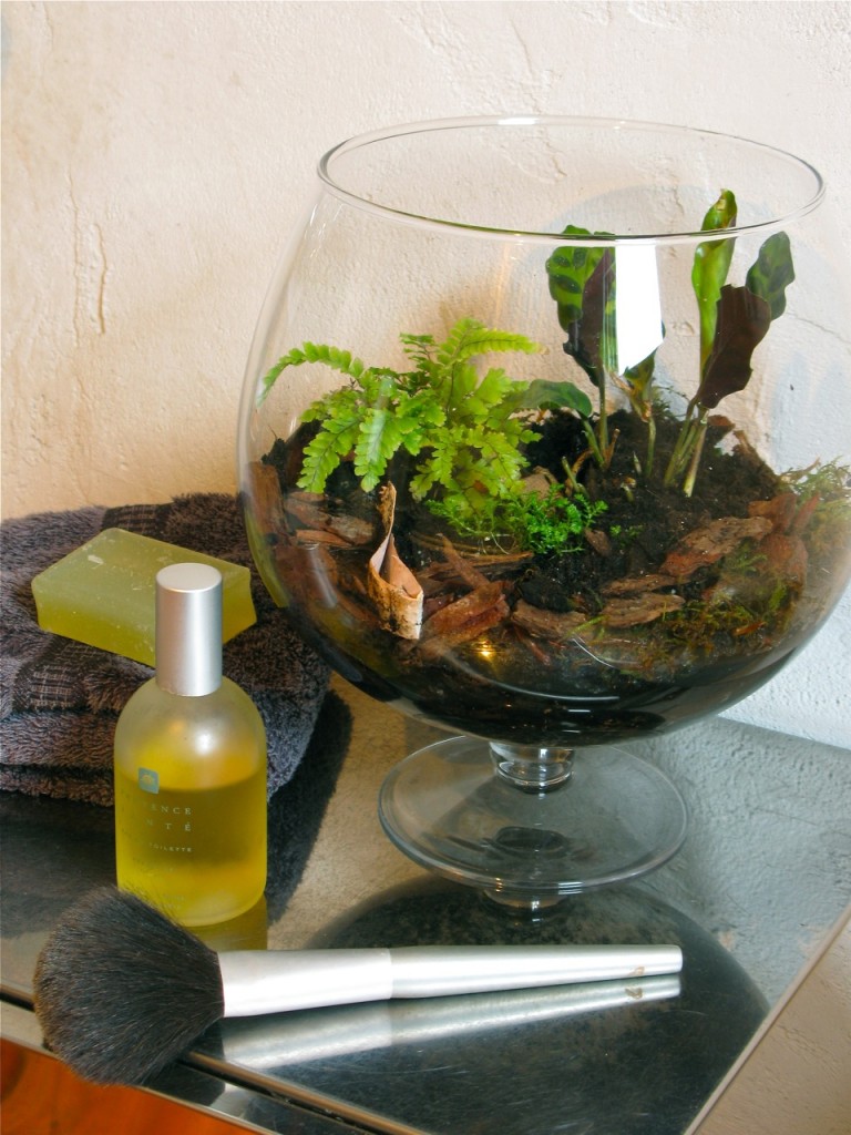 low-light terrarium on vanity