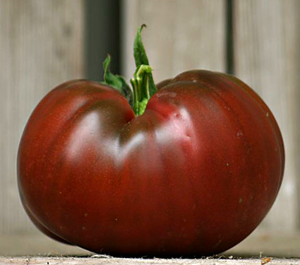 Beautiful 'Pierce's Pride', Black-Red Heirloom Tomato from White Flower Farm