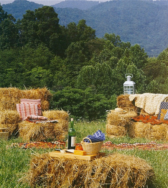 Strawbale Furnishings ⓒ The Big Book of Backyard Projects Paige 