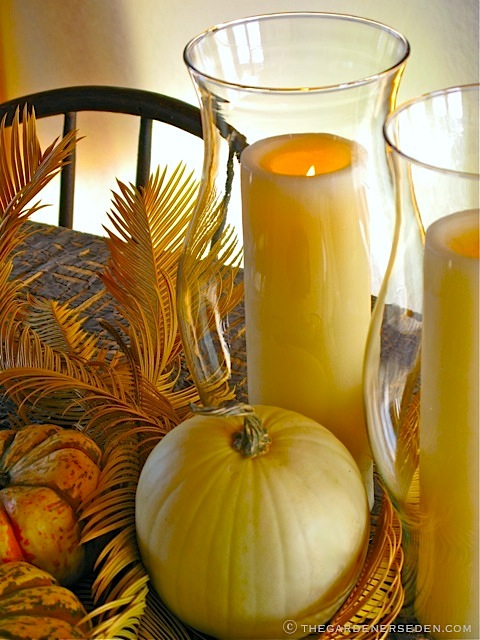 Curious Dinner Companions Dried Leaves of Sago Palm Add a Light 