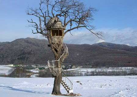 Easy Tree House Designs. Treehouse by Takashi Kobayashi