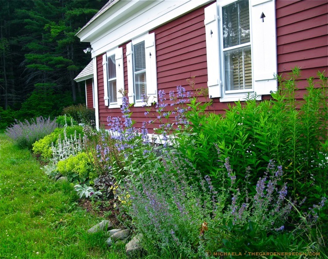English-Edging-ⓒ-michaela-thegardenerseden