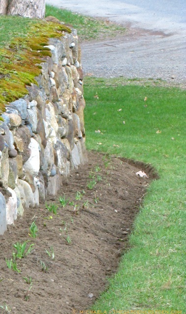 garden-edge-ⓒ-michaela-thegardenerseden.com_