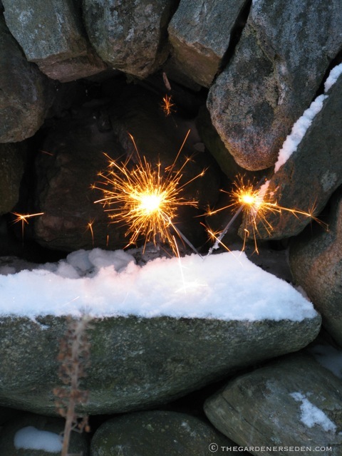 A-Happy-New-Year-ⓒ-Michaela-at-TGE