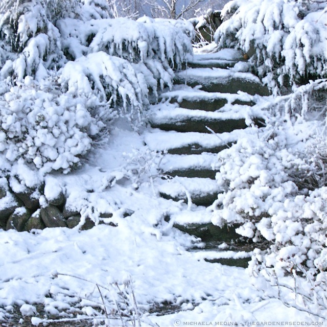 Snowy-Stairs-ⓒ-michaela-medina-thegardenerseden