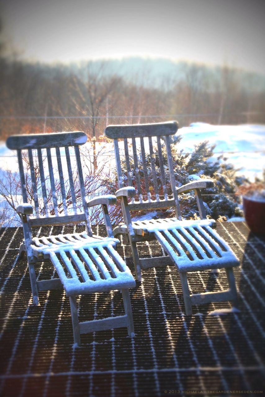 Winter Balcony ⓒ 2013 michaela medina - thegardenerseden.com