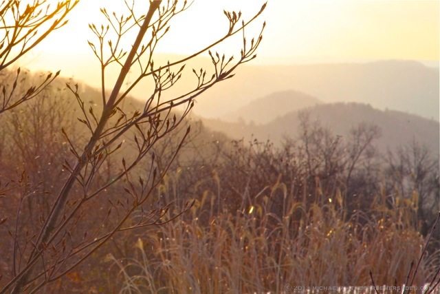 winter sunrise beauty ⓒ 2013 michaela : thegardenerseden