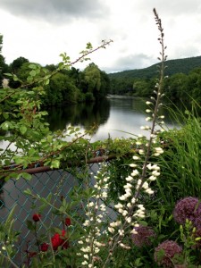 view-down-river-bridge-of-flowers