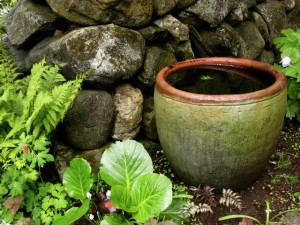 water-bowl-secret-garden