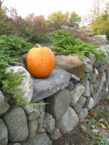 wall:pumpkin