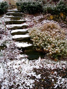 Stone steps dusted in snow