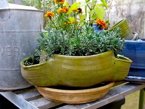 virginia wyoming, pot in greenhouse