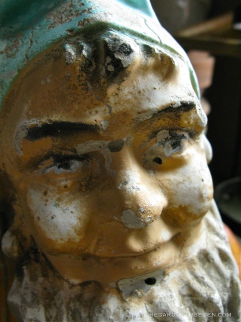 All Seems Tranquil In This Garden But Beware Things Change When Darkness Falls The Gardener S Eden the gardener s eden