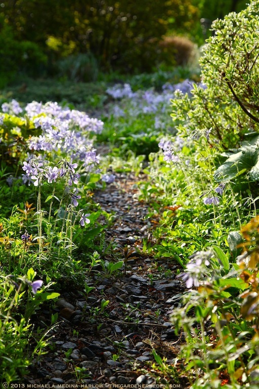 Magical_May_Secret_Garden_Path_michaela_medina_harlow_thegardenerseden