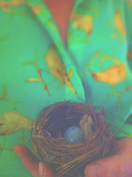 Bird Nest and Bird Patterns - michaela medina harlow - thegardenerseden.com