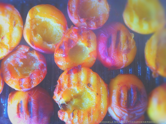 Grilling Peaches - michaela medina harlow - thegardenerseden.com