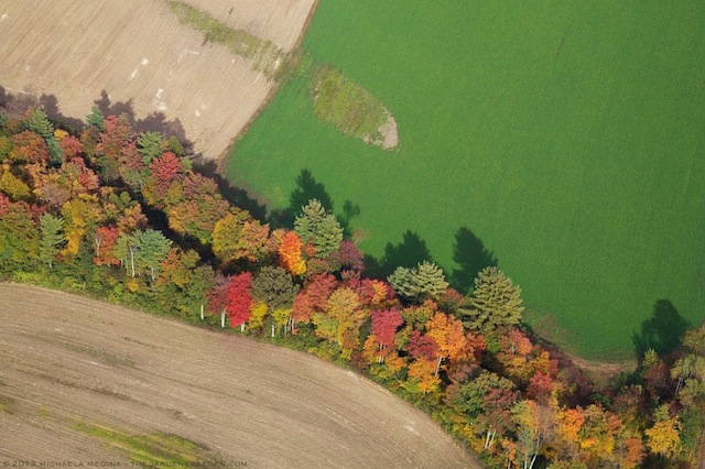 Autumn Colorbands ll, Above Guilford, Vermont - Michaela Medina Harlow - thegardenerseden.com