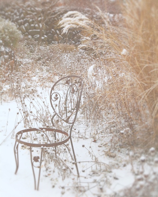 empty garden chair - copyright michaela medina harlow - thegardenerseden.com